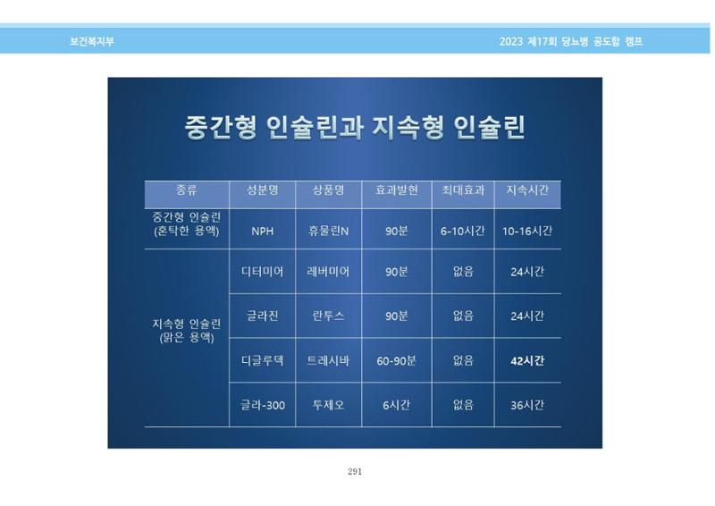 한국소아당뇨인협회 17회 공도함 캠프 E북 자료집 291페이지