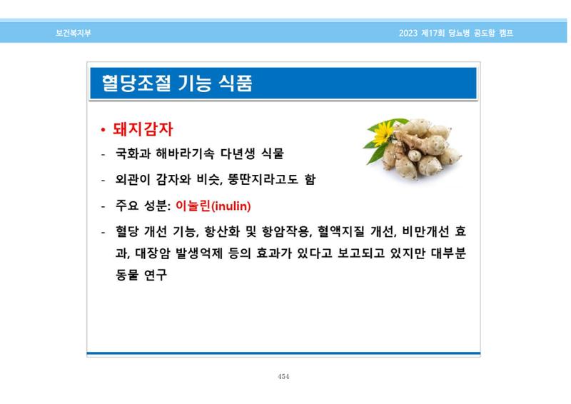 한국소아당뇨인협회 17회 공도함 캠프 E북 자료집 454페이지