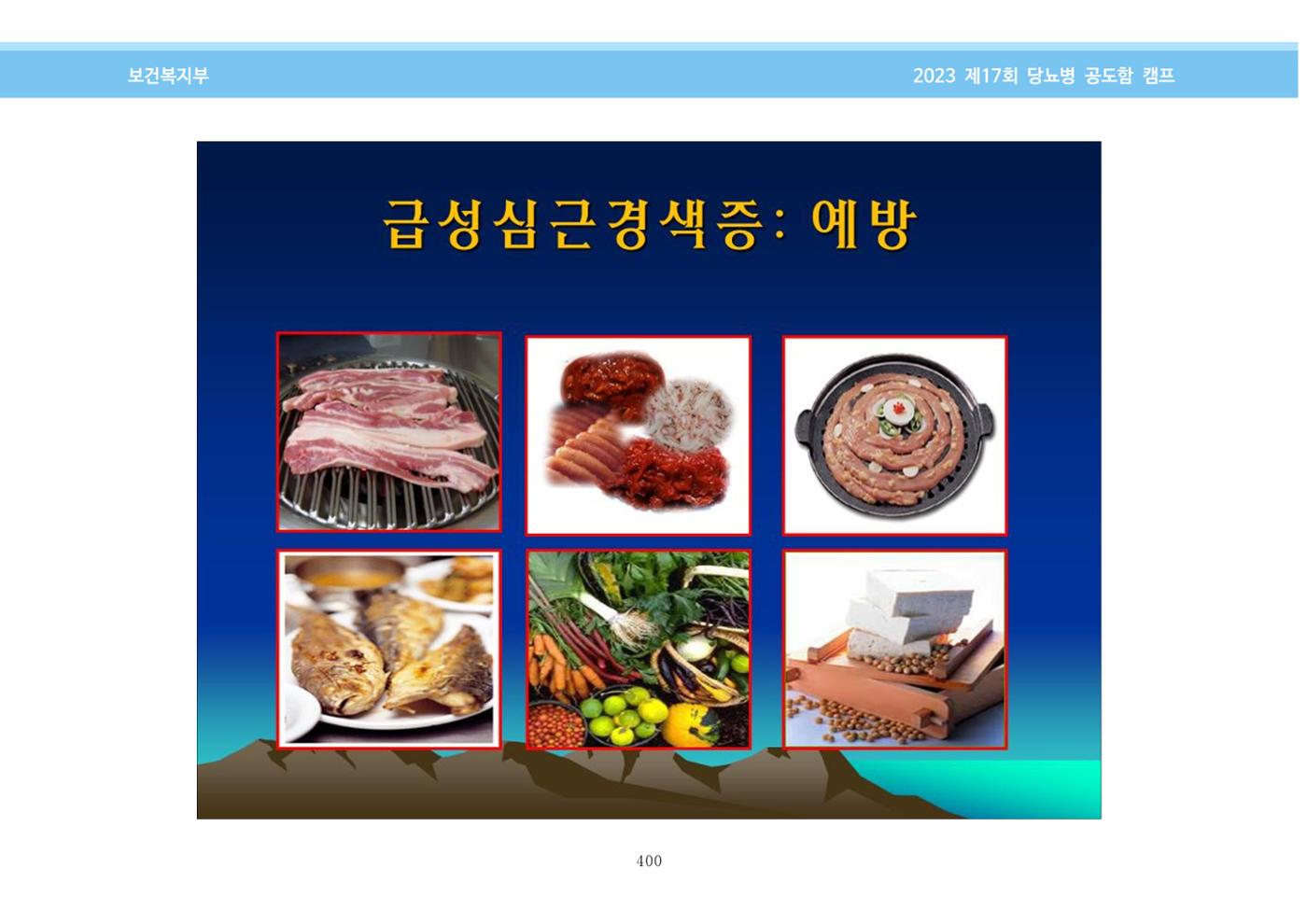 한국소아당뇨인협회 17회 공도함 캠프 E북 자료집 400페이지
