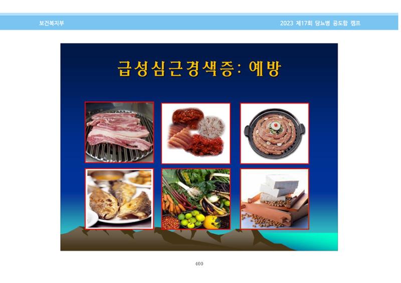 한국소아당뇨인협회 17회 공도함 캠프 E북 자료집 400페이지