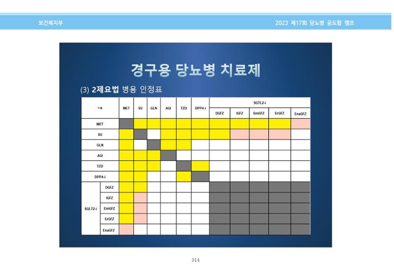 한국소아당뇨인협회 17회 공도함 캠프 E북 자료집 314페이지