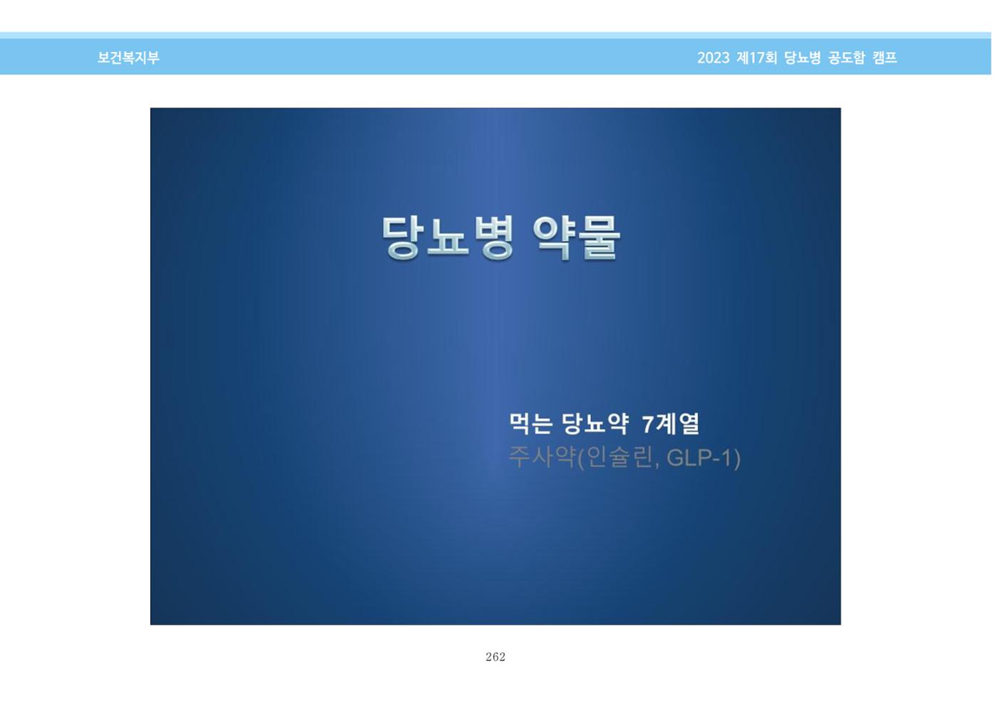 한국소아당뇨인협회 17회 공도함 캠프 E북 자료집 262페이지