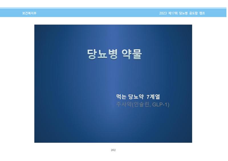 한국소아당뇨인협회 17회 공도함 캠프 E북 자료집 262페이지