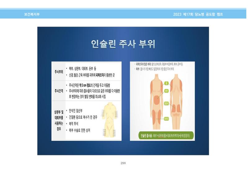 한국소아당뇨인협회 17회 공도함 캠프 E북 자료집 298페이지