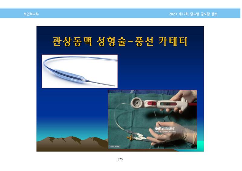한국소아당뇨인협회 17회 공도함 캠프 E북 자료집 375페이지
