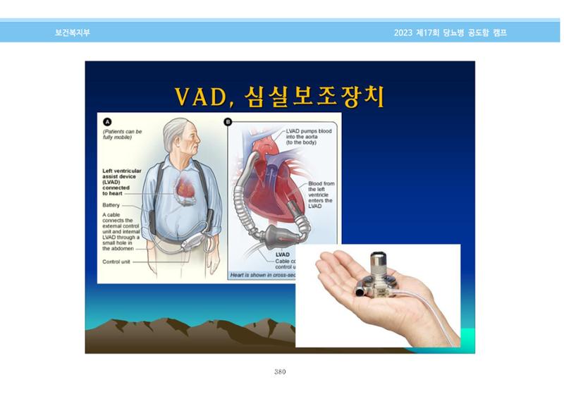 한국소아당뇨인협회 17회 공도함 캠프 E북 자료집 380페이지