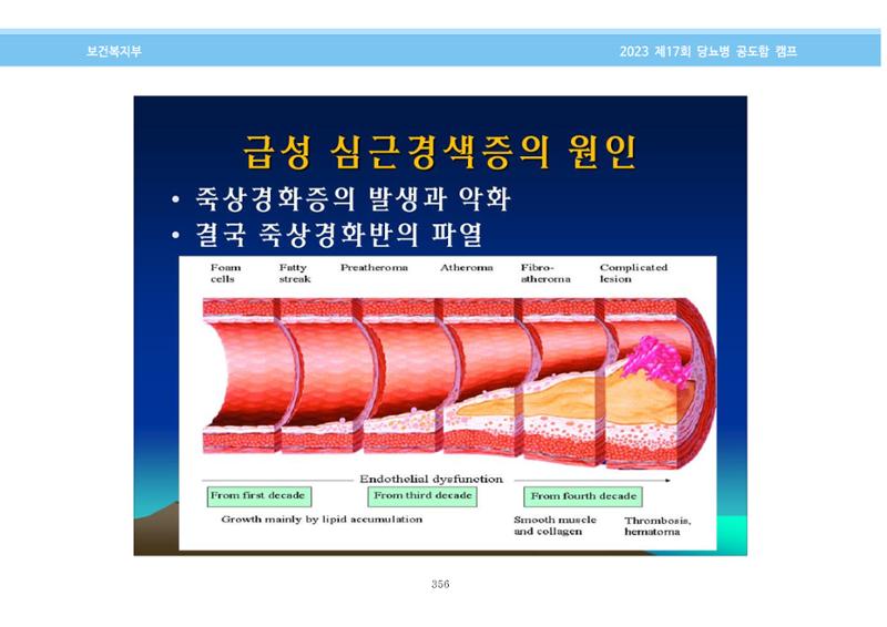 한국소아당뇨인협회 17회 공도함 캠프 E북 자료집 356페이지