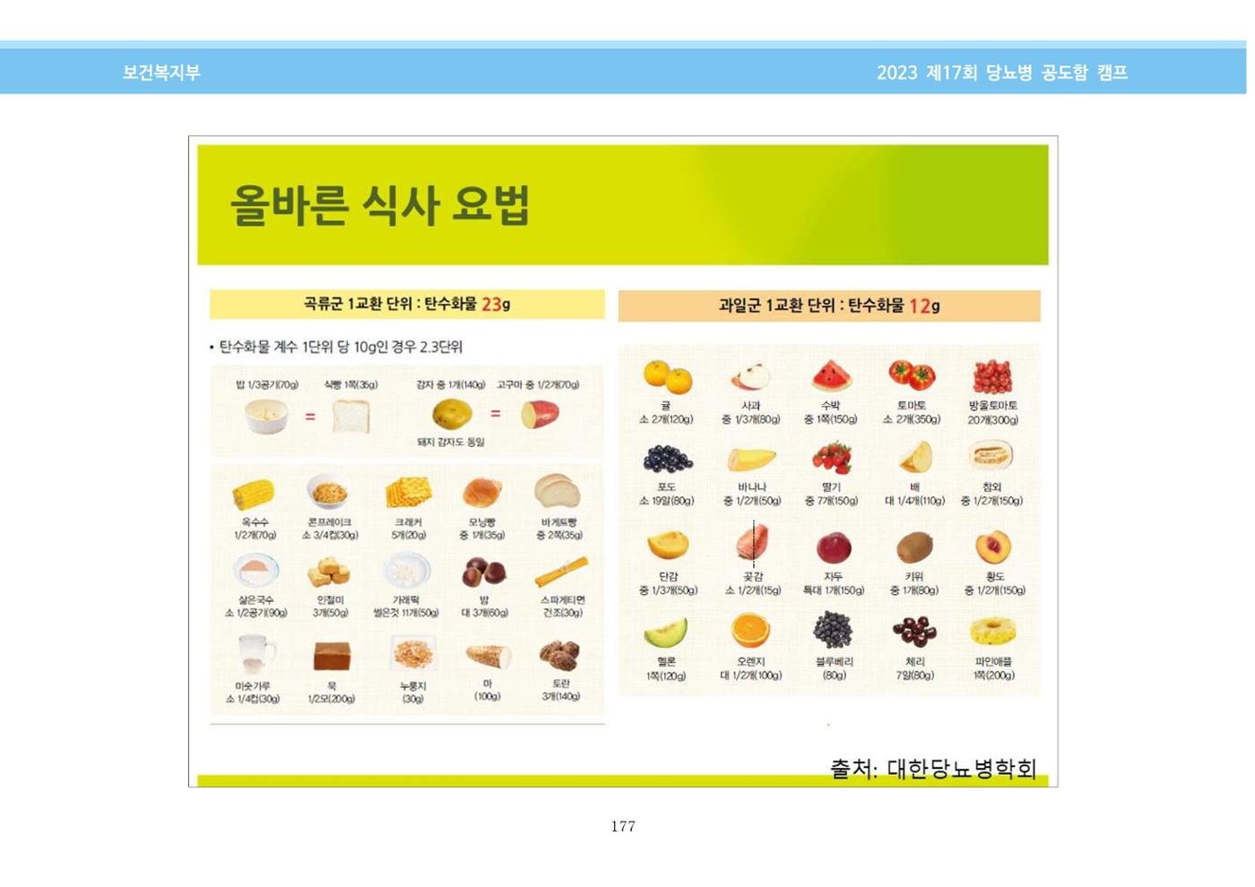 한국소아당뇨인협회 17회 공도함 캠프 E북 자료집 177페이지