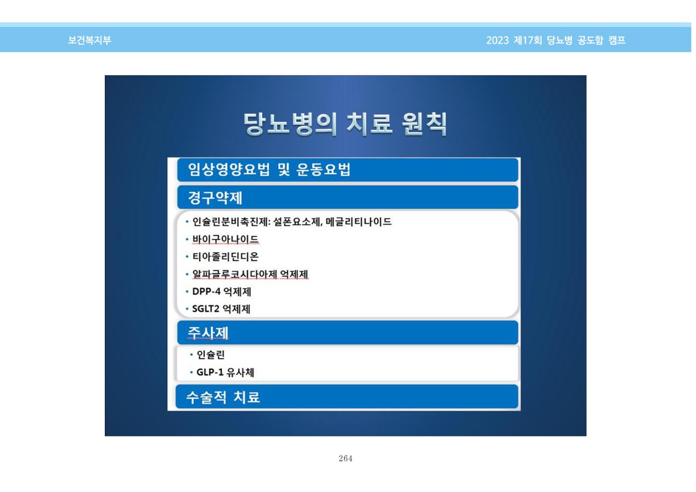 한국소아당뇨인협회 17회 공도함 캠프 E북 자료집 264페이지