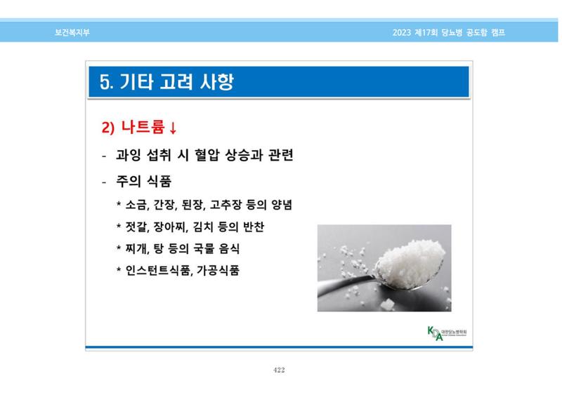 한국소아당뇨인협회 17회 공도함 캠프 E북 자료집 422페이지