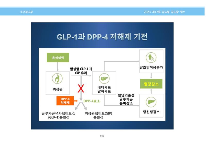 한국소아당뇨인협회 17회 공도함 캠프 E북 자료집 277페이지