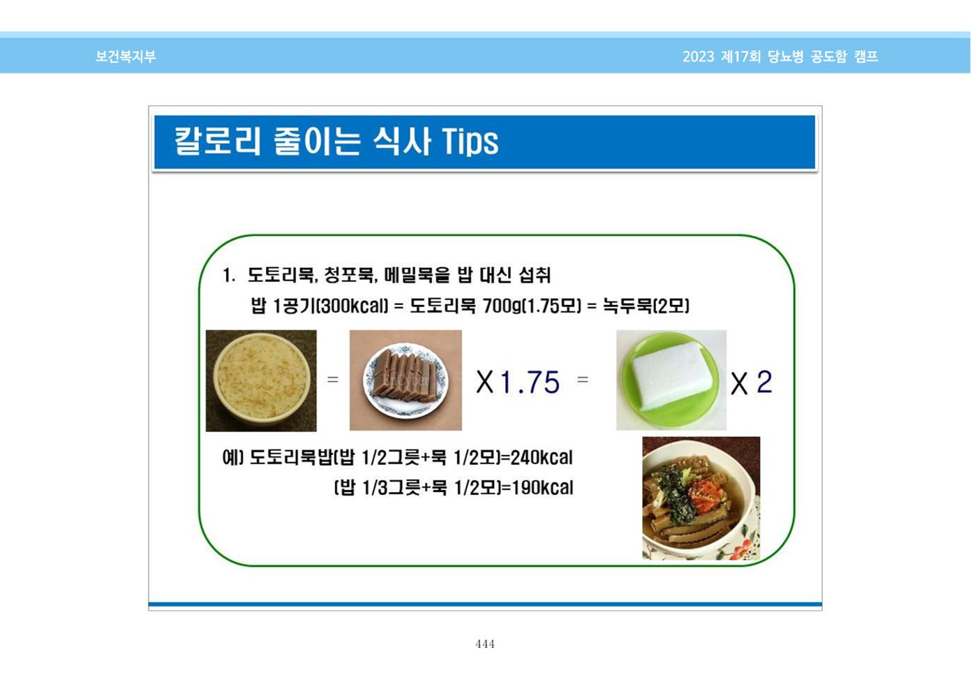 한국소아당뇨인협회 17회 공도함 캠프 E북 자료집 444페이지