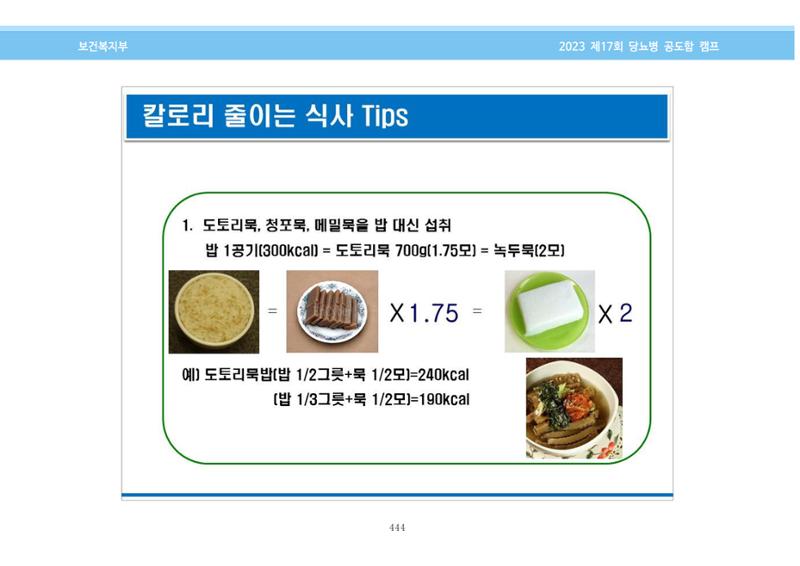 한국소아당뇨인협회 17회 공도함 캠프 E북 자료집 444페이지