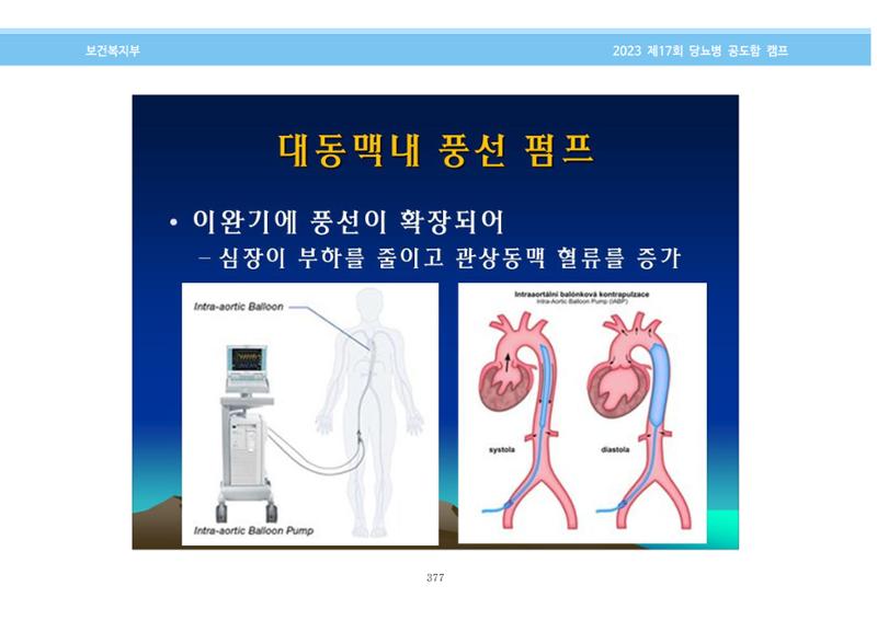 한국소아당뇨인협회 17회 공도함 캠프 E북 자료집 377페이지