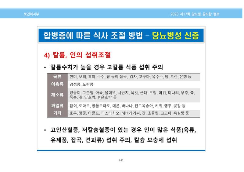 한국소아당뇨인협회 17회 공도함 캠프 E북 자료집 441페이지