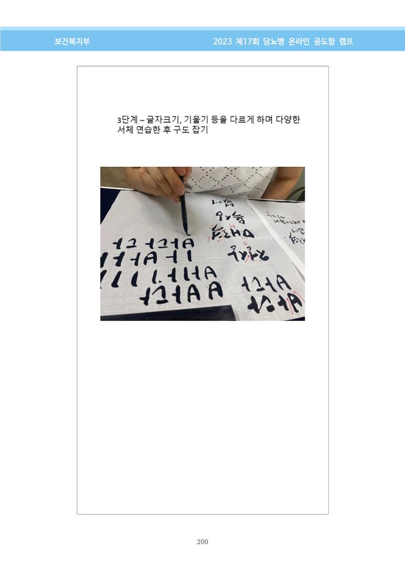 한국소아당뇨인협회 17회 공도함 캠프 E북 자료집 200페이지