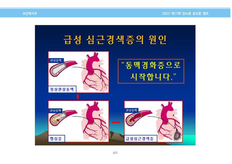한국소아당뇨인협회 17회 공도함 캠프 E북 자료집 357페이지