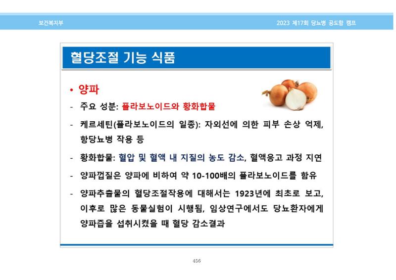 한국소아당뇨인협회 17회 공도함 캠프 E북 자료집 456페이지