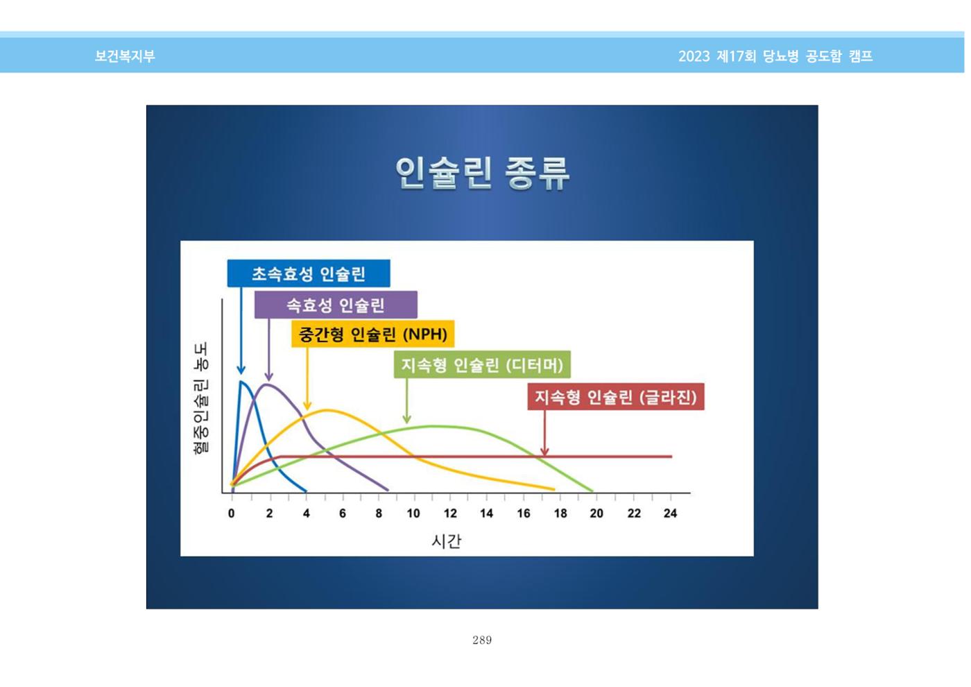 한국소아당뇨인협회 17회 공도함 캠프 E북 자료집 289페이지