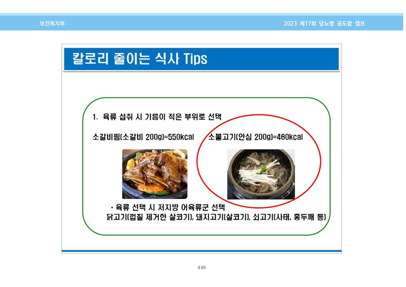 한국소아당뇨인협회 17회 공도함 캠프 E북 자료집 446페이지
