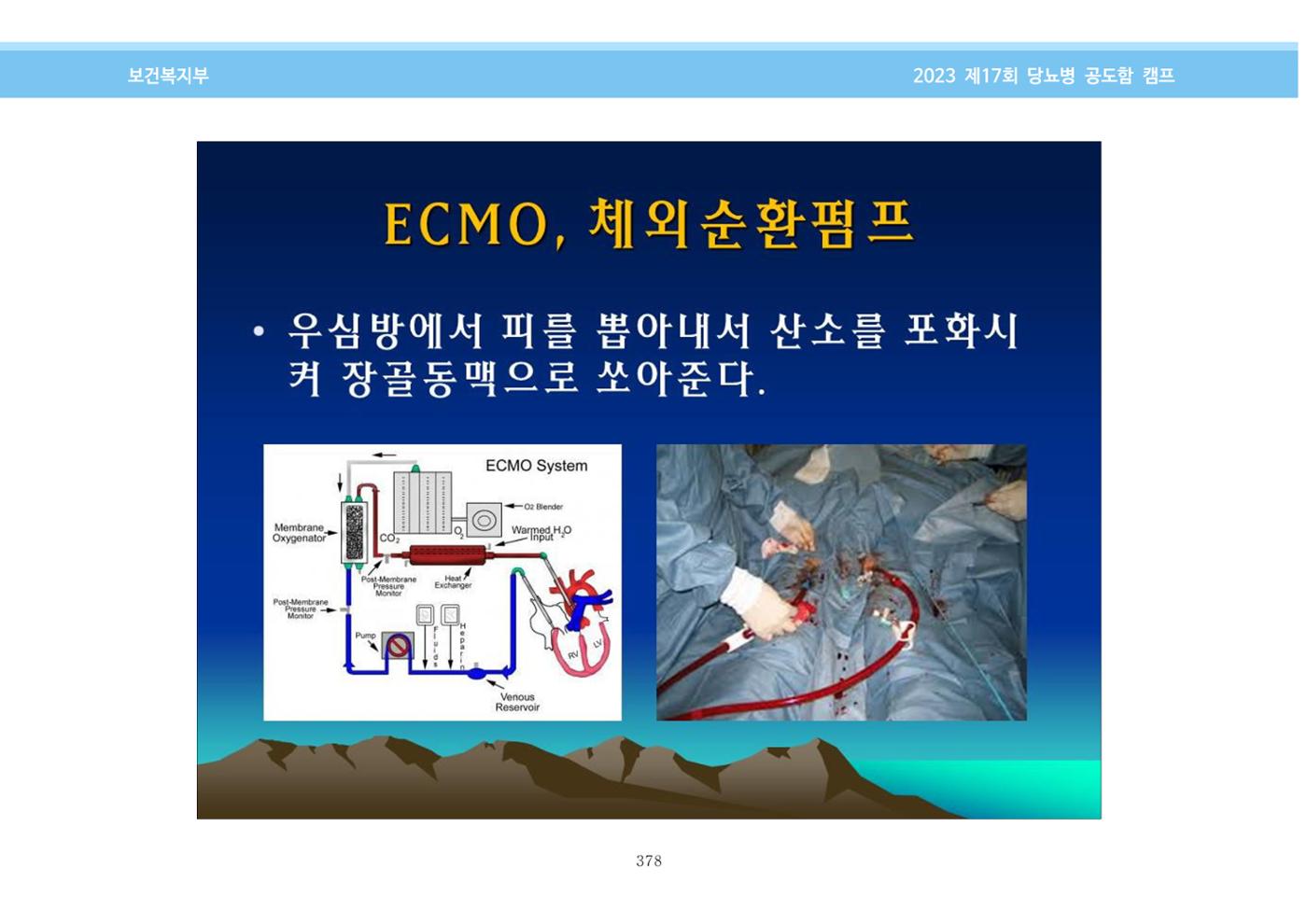 한국소아당뇨인협회 17회 공도함 캠프 E북 자료집 378페이지
