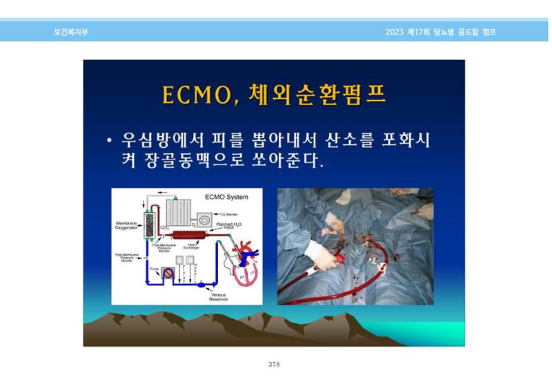 한국소아당뇨인협회 17회 공도함 캠프 E북 자료집 378페이지