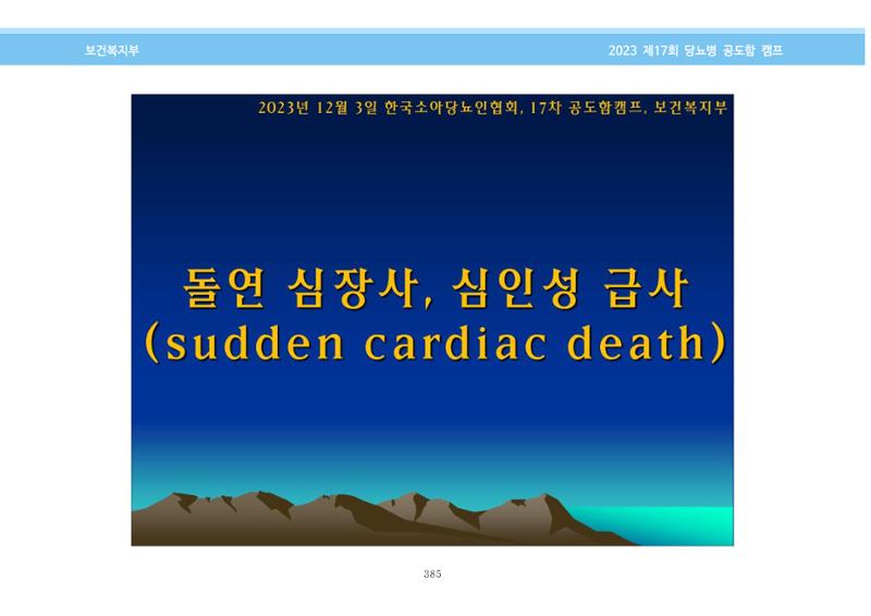 한국소아당뇨인협회 17회 공도함 캠프 E북 자료집 385페이지