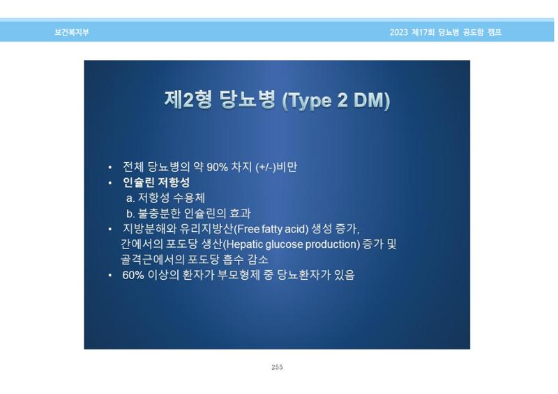 한국소아당뇨인협회 17회 공도함 캠프 E북 자료집 255페이지