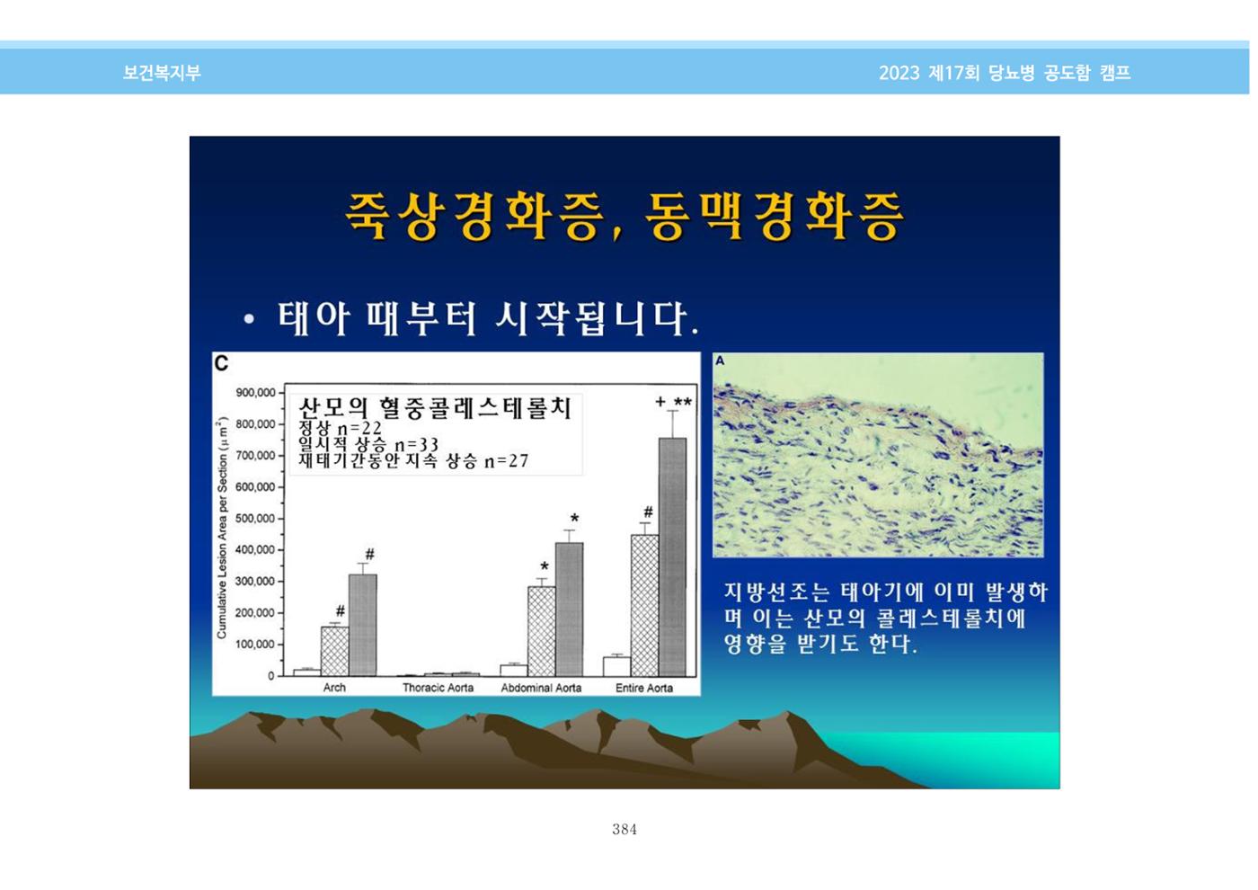 한국소아당뇨인협회 17회 공도함 캠프 E북 자료집 384페이지