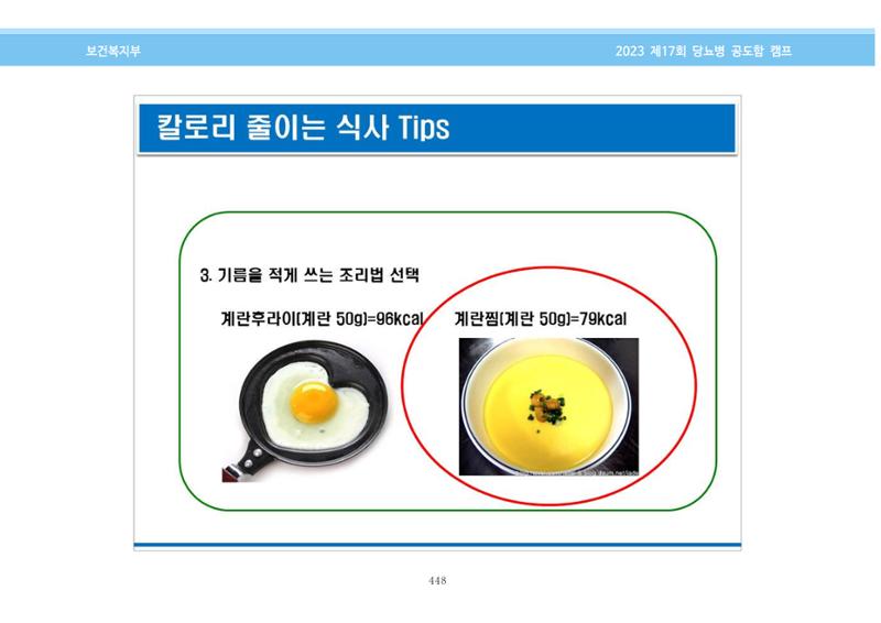 한국소아당뇨인협회 17회 공도함 캠프 E북 자료집 448페이지