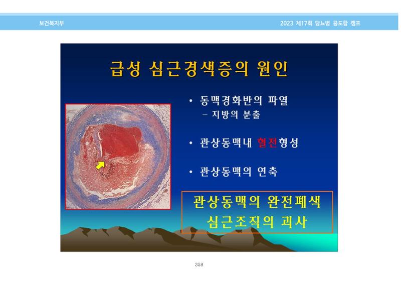 한국소아당뇨인협회 17회 공도함 캠프 E북 자료집 358페이지
