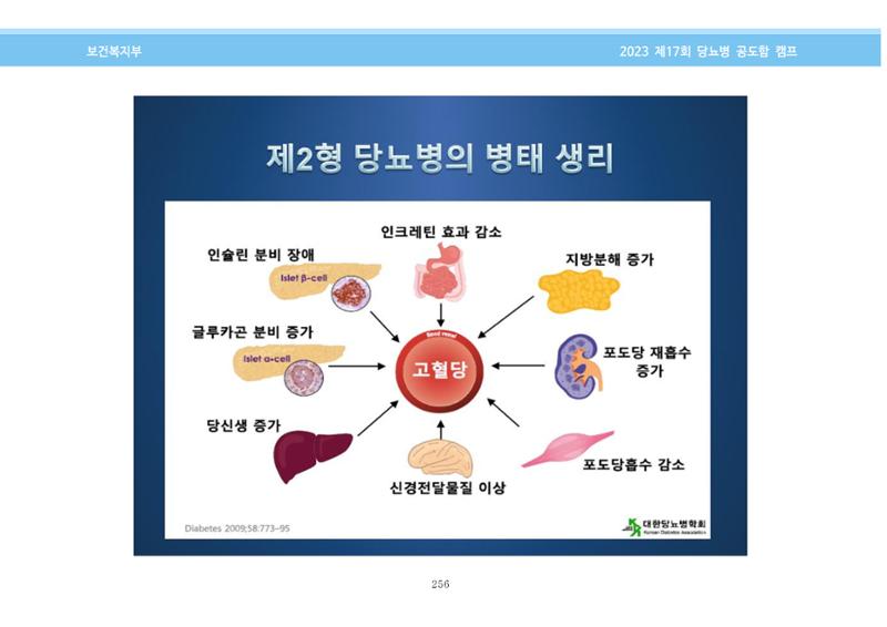 한국소아당뇨인협회 17회 공도함 캠프 E북 자료집 256페이지