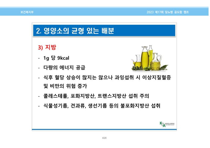 한국소아당뇨인협회 17회 공도함 캠프 E북 자료집 418페이지