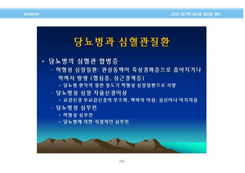 한국소아당뇨인협회 17회 공도함 캠프 E북 자료집 333페이지