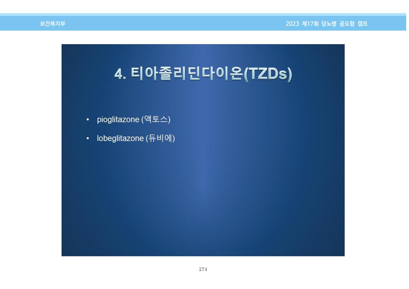 한국소아당뇨인협회 17회 공도함 캠프 E북 자료집 274페이지