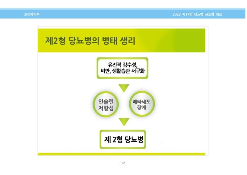 한국소아당뇨인협회 17회 공도함 캠프 E북 자료집 158페이지