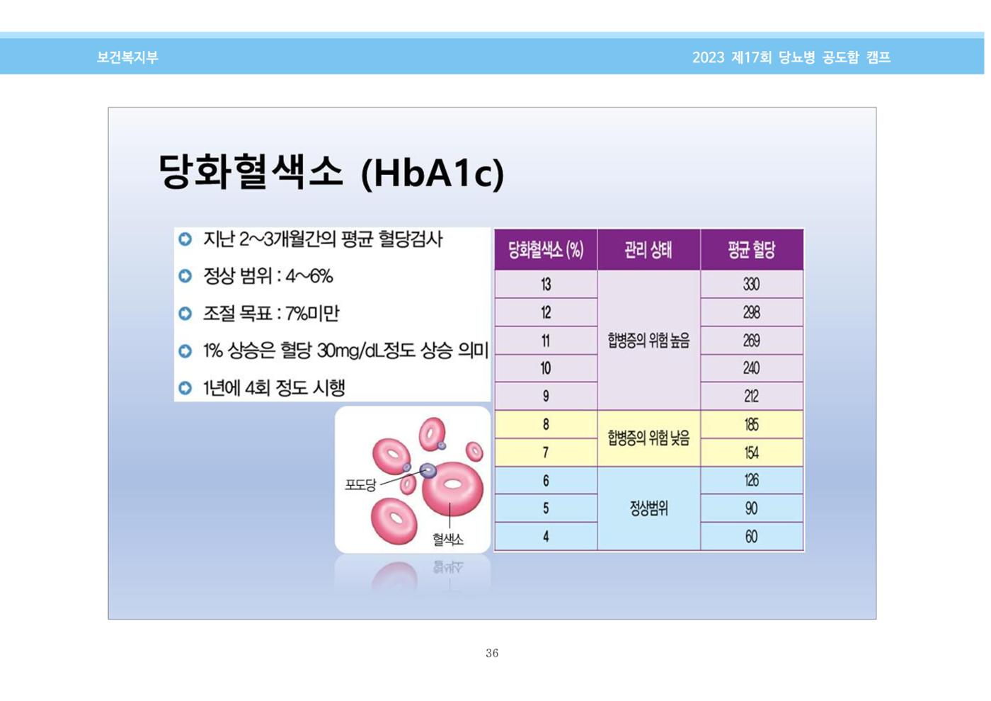 한국소아당뇨인협회 17회 공도함 캠프 E북 자료집 36페이지