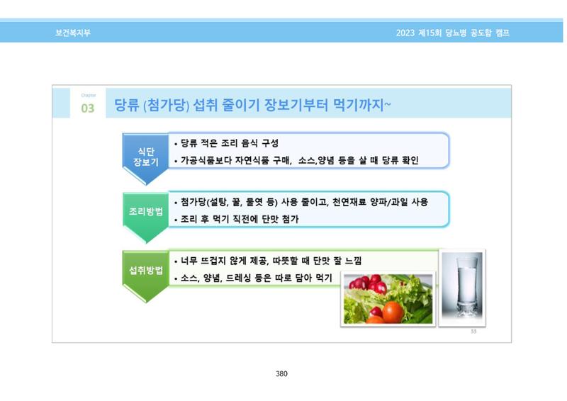 한국소아당뇨인협회 15회 공도함 캠프 E북 자료집 380페이지