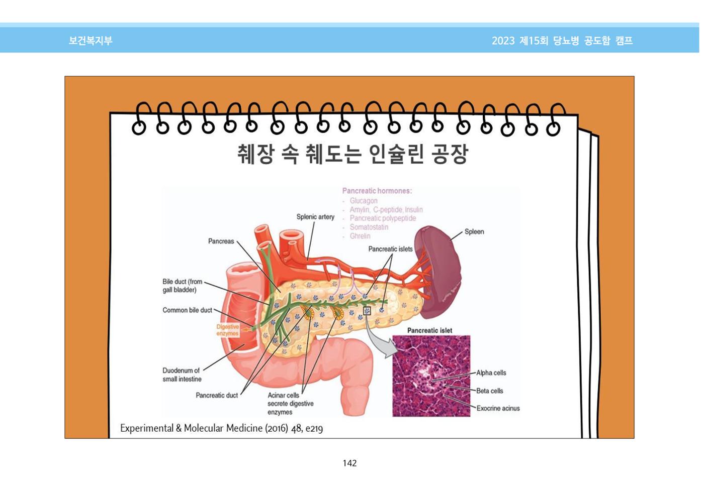 한국소아당뇨인협회 15회 공도함 캠프 E북 자료집 142페이지