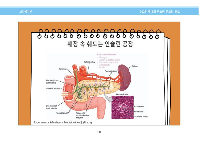 한국소아당뇨인협회 15회 공도함 캠프 E북 자료집 142페이지