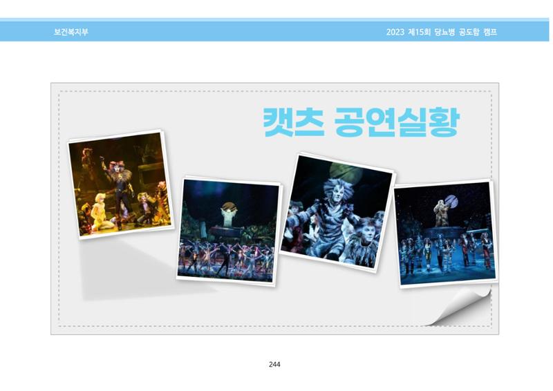 한국소아당뇨인협회 15회 공도함 캠프 E북 자료집 244페이지