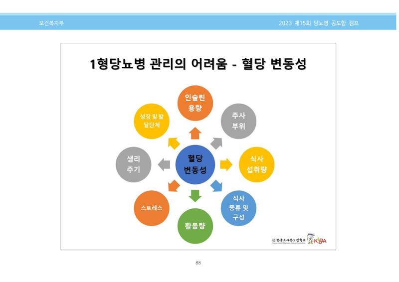 한국소아당뇨인협회 15회 공도함 캠프 E북 자료집 88페이지