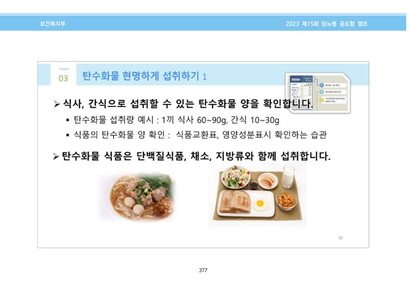 한국소아당뇨인협회 15회 공도함 캠프 E북 자료집 377페이지
