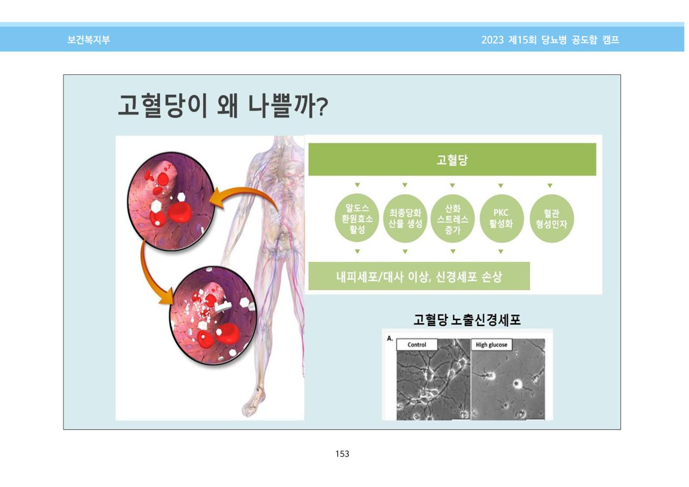 한국소아당뇨인협회 15회 공도함 캠프 E북 자료집 153페이지