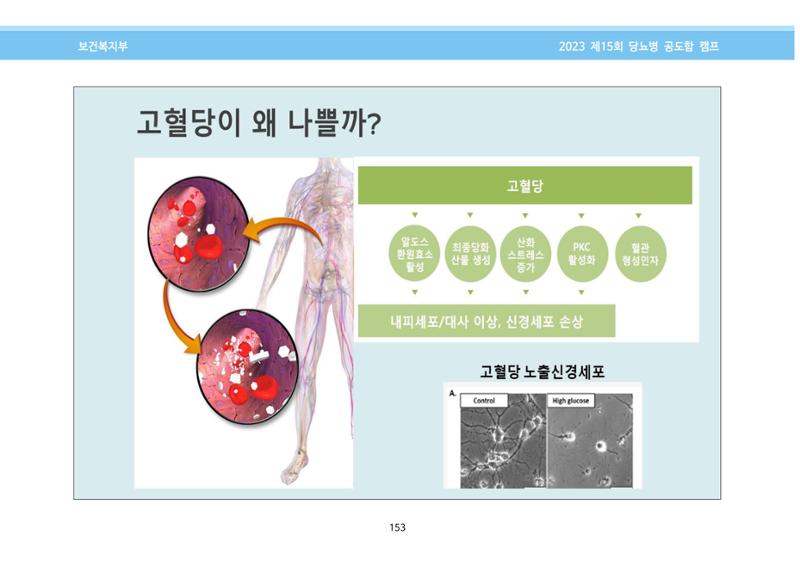 한국소아당뇨인협회 15회 공도함 캠프 E북 자료집 153페이지