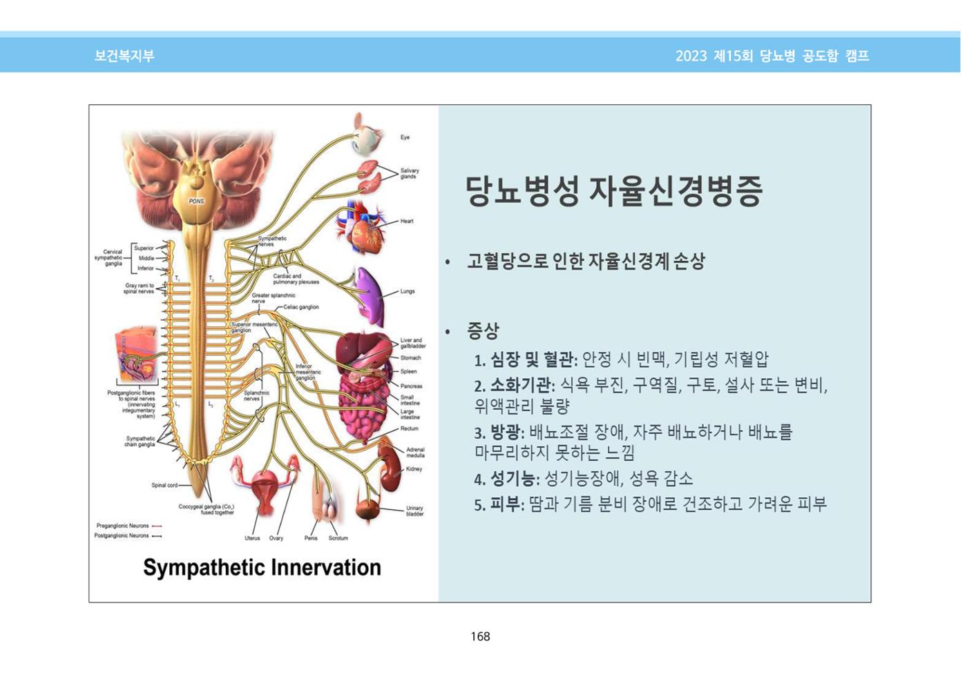 한국소아당뇨인협회 15회 공도함 캠프 E북 자료집 168페이지