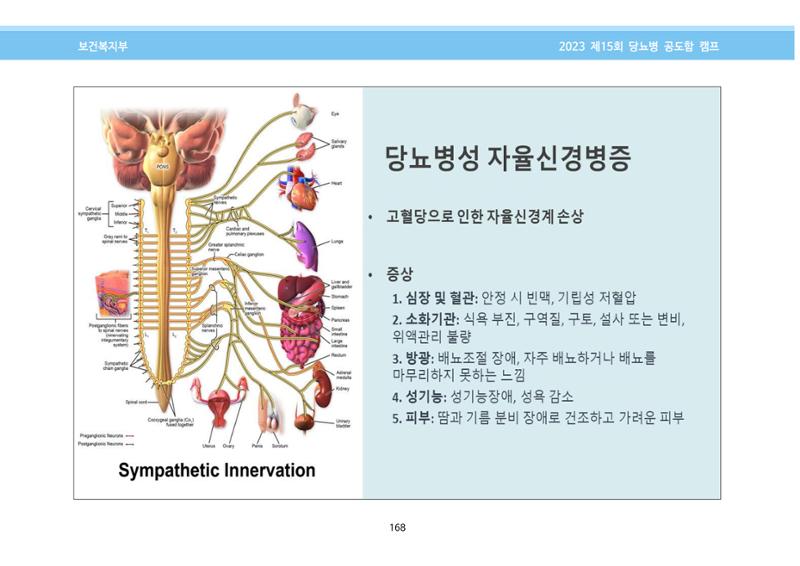 한국소아당뇨인협회 15회 공도함 캠프 E북 자료집 168페이지