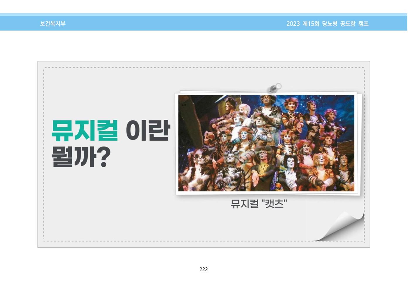 한국소아당뇨인협회 15회 공도함 캠프 E북 자료집 222페이지
