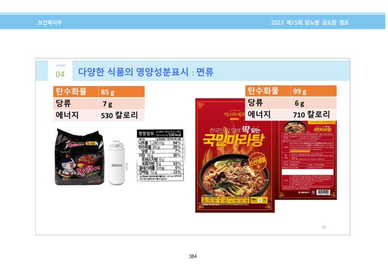 한국소아당뇨인협회 15회 공도함 캠프 E북 자료집 384페이지