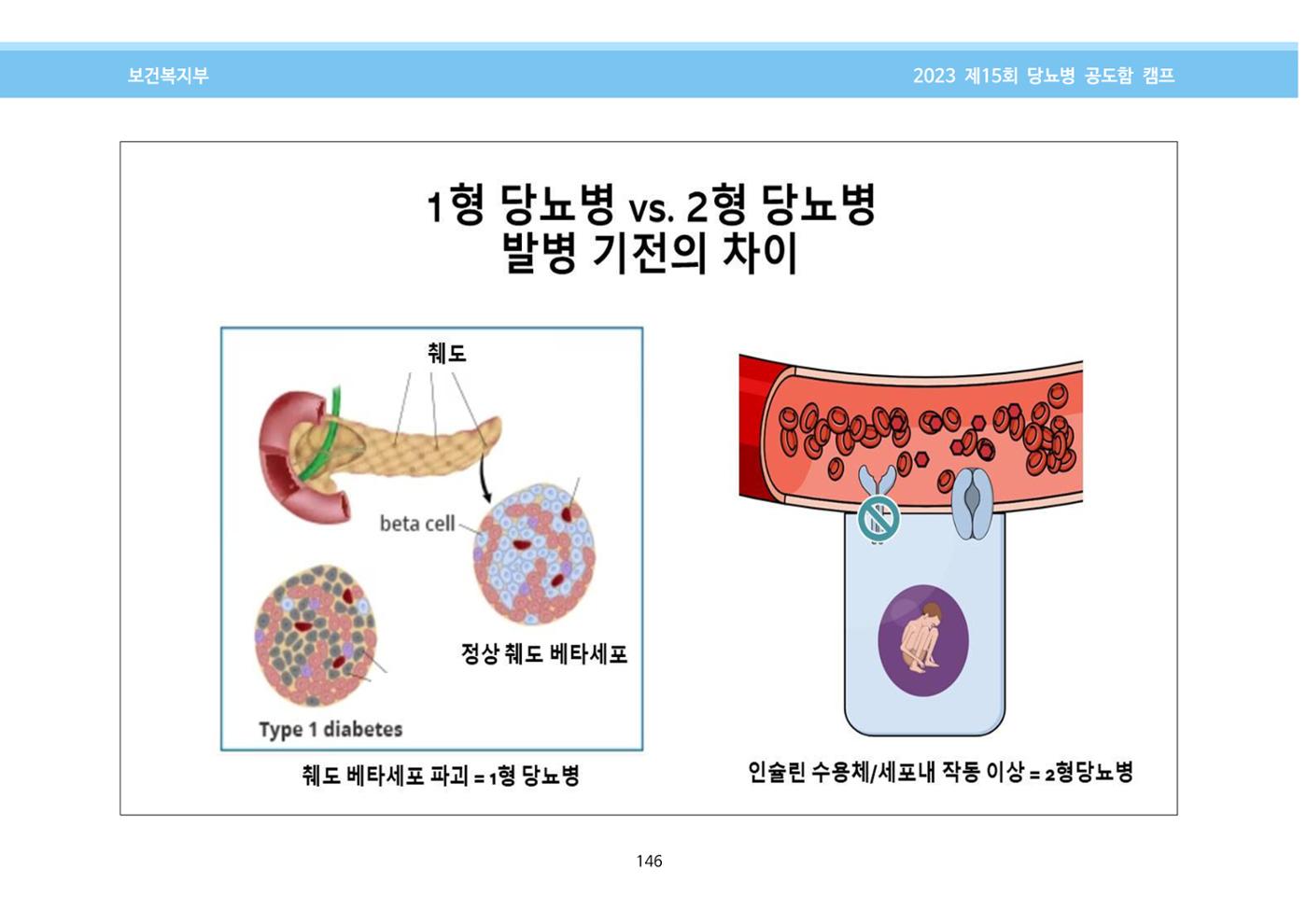 한국소아당뇨인협회 15회 공도함 캠프 E북 자료집 146페이지